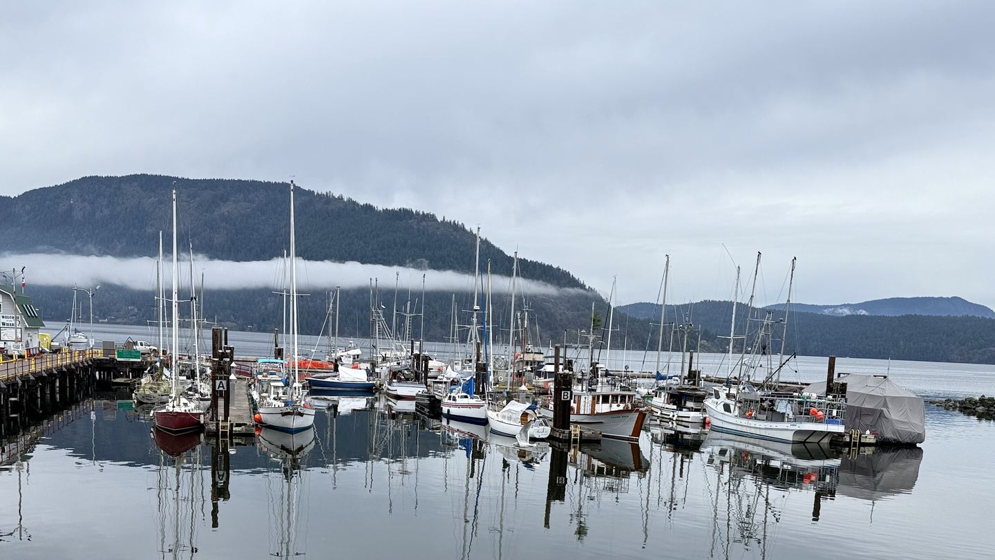 Sailboats and fishing boats reflected in calm water at a Vancouver Island marina, with low cloud resting along a forested mountain